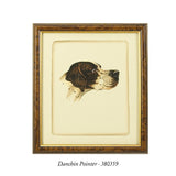Danchin Cocker Spaniel