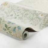flora-4179-1