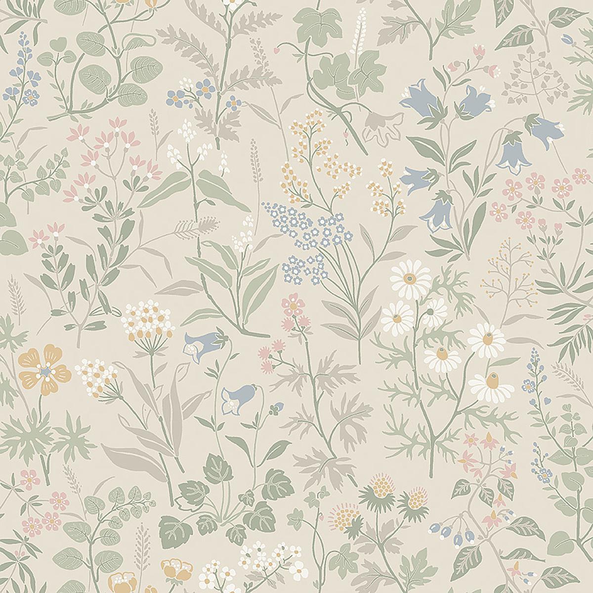 flora-4179