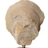 Oyster Shell Sculptures, S/2