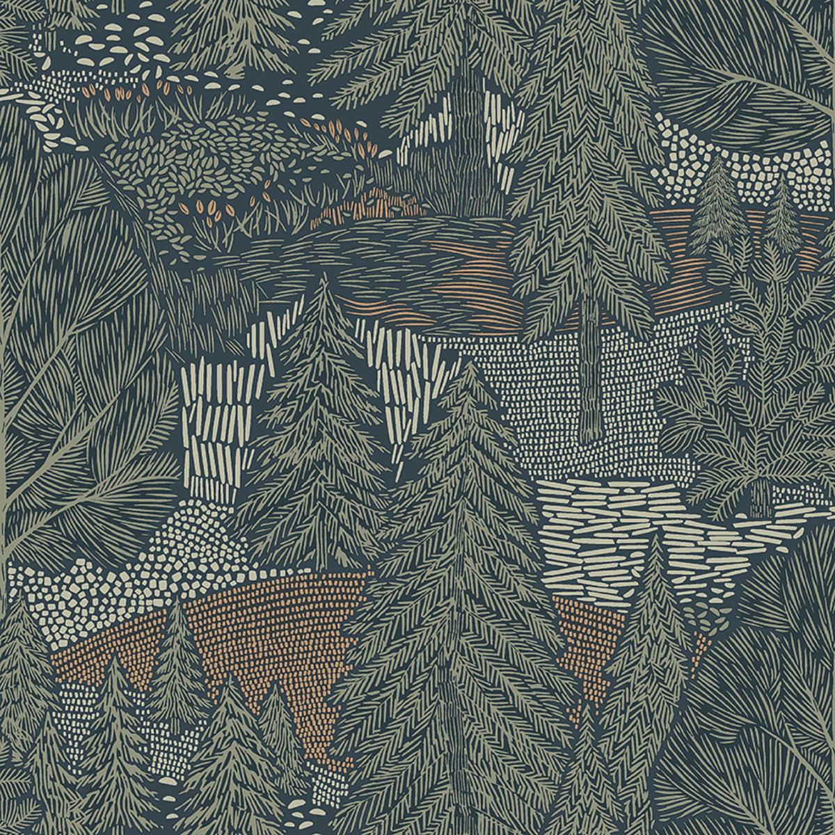 northern-forest-4701