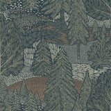 northern-forest-4701