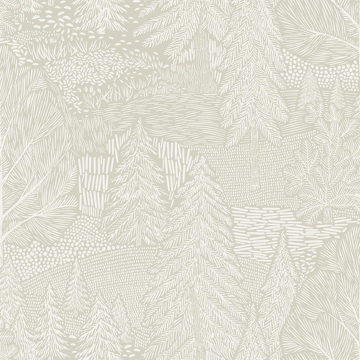 northern-forest-4703