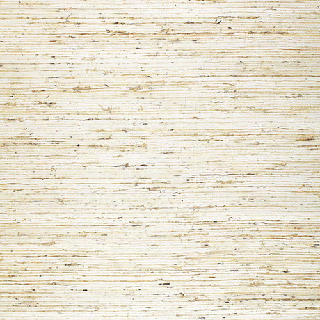 jinan-arrowroot-5000750