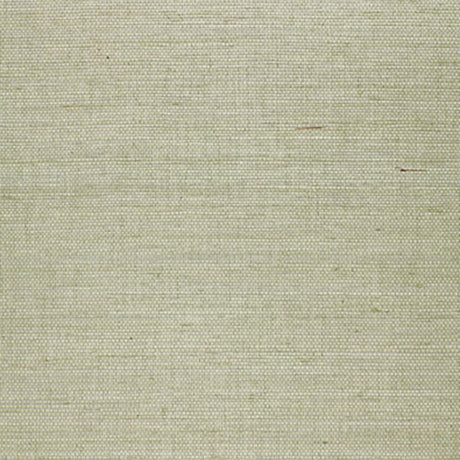 suwon-sisal-5000760