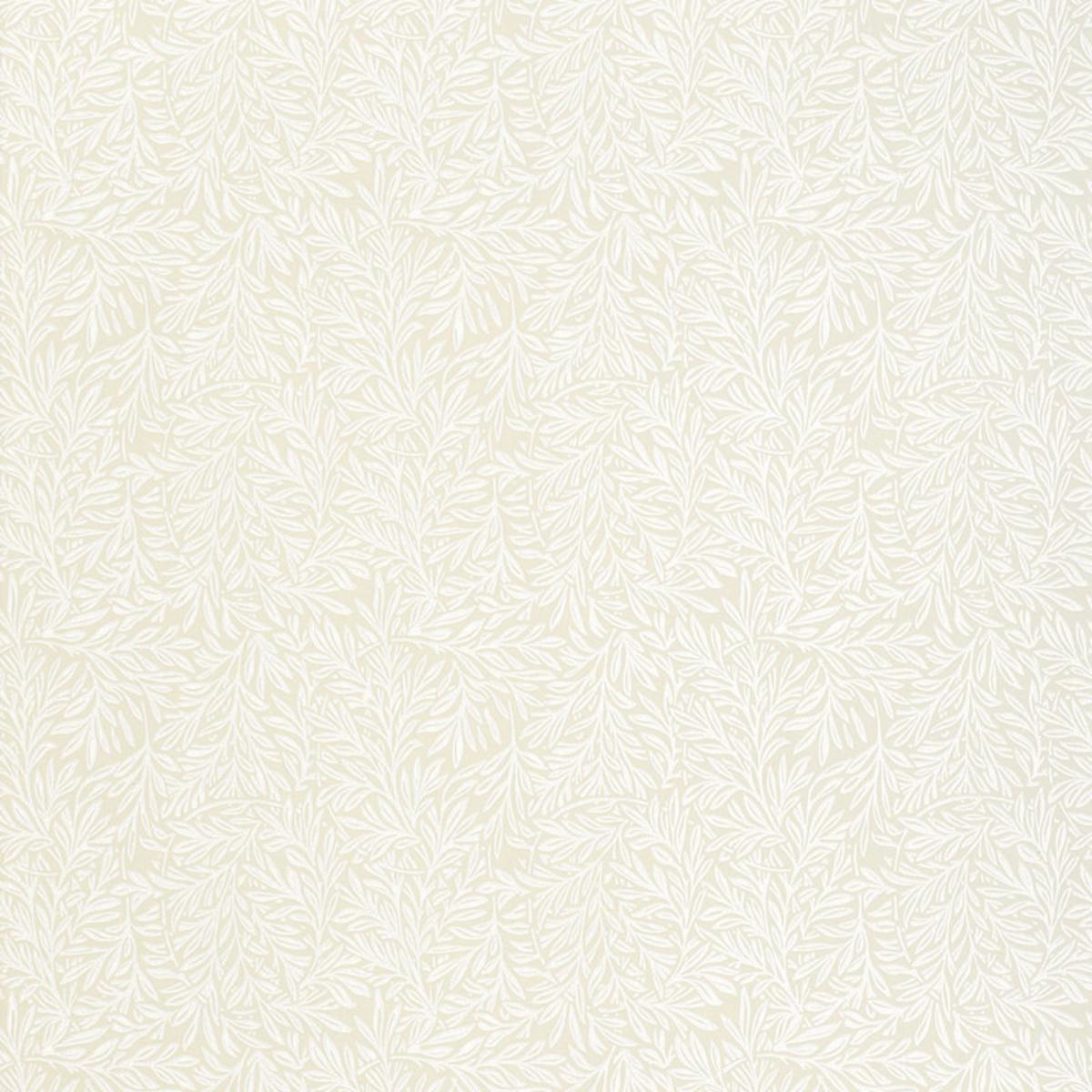 willow-leaf-5004130