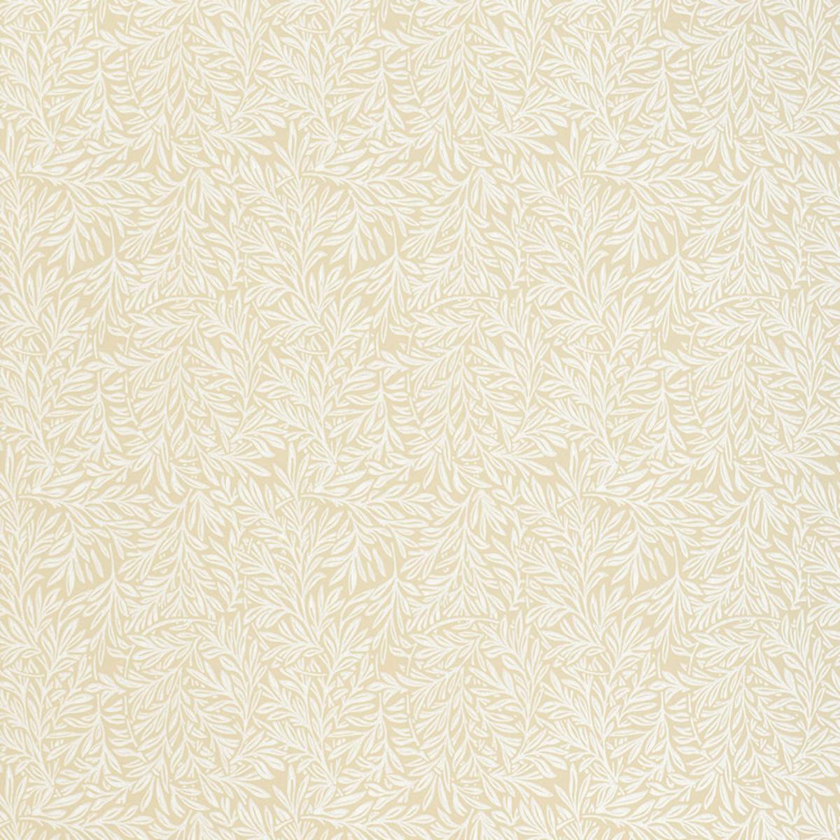 willow-leaf-5004131