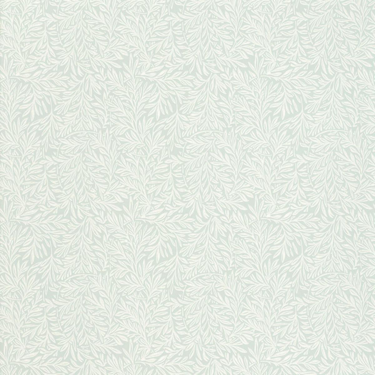 willow-leaf-5004132