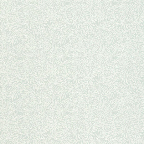 willow-leaf-5004132
