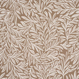 willow-leaf-5004138-2