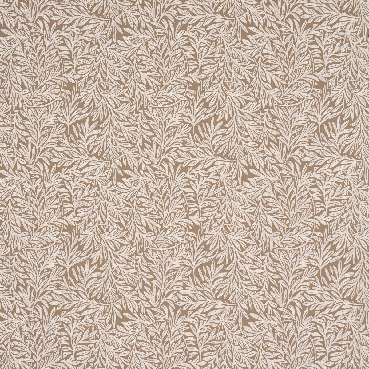 willow-leaf-5004138
