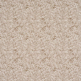 willow-leaf-5004138