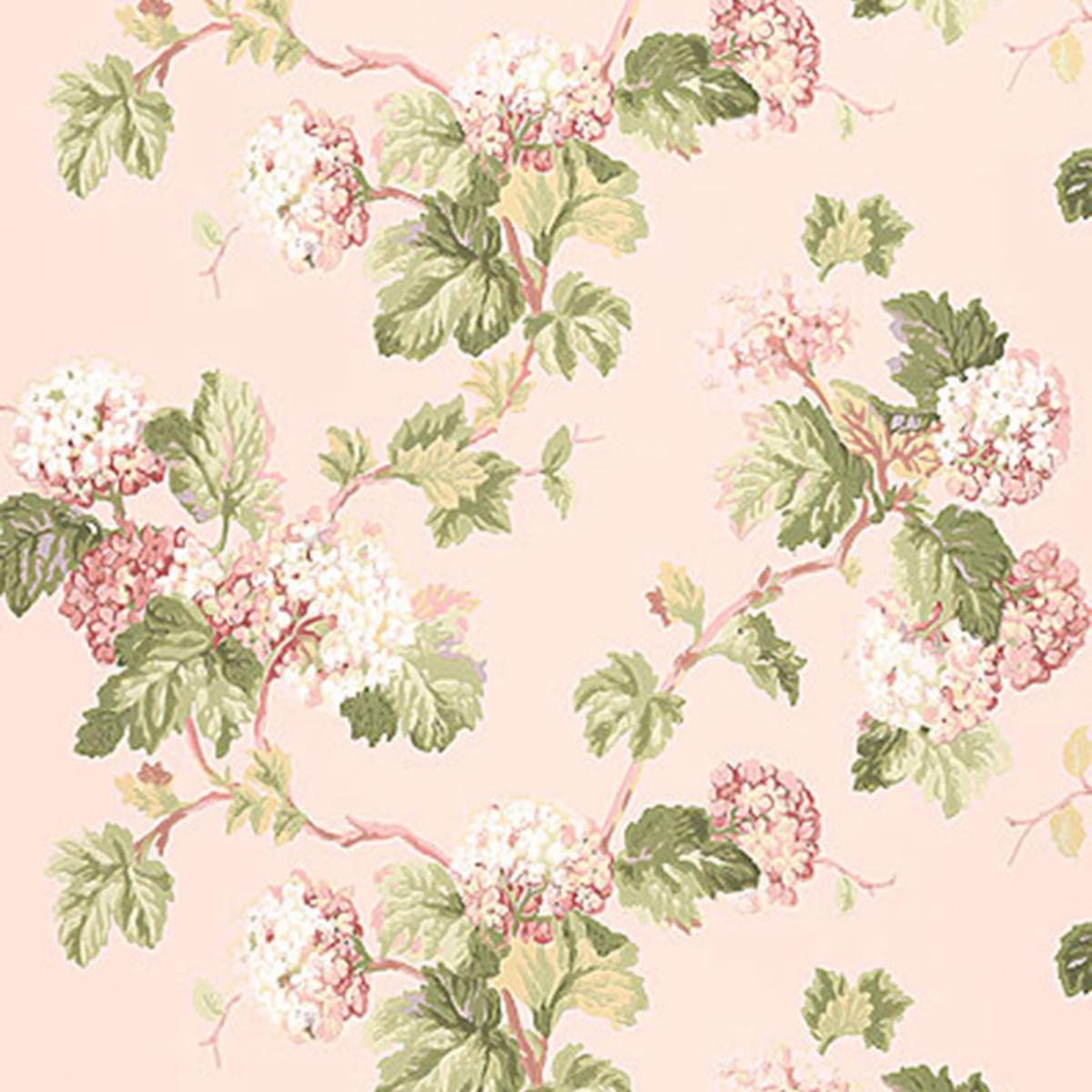 viburnum-5004370