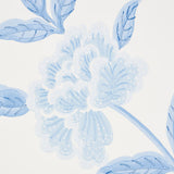 whitney-floral-5004385-2
