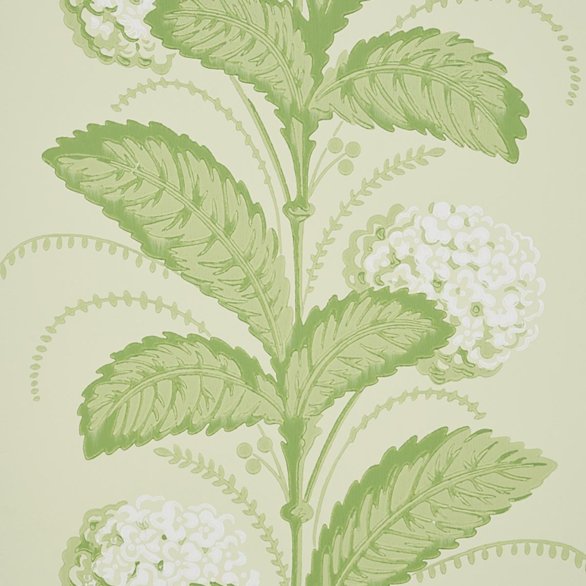 hydrangea-drape-5004456-3
