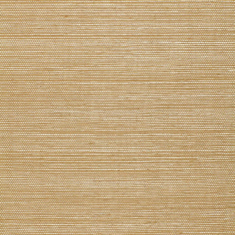 haruki-sisal-5004701