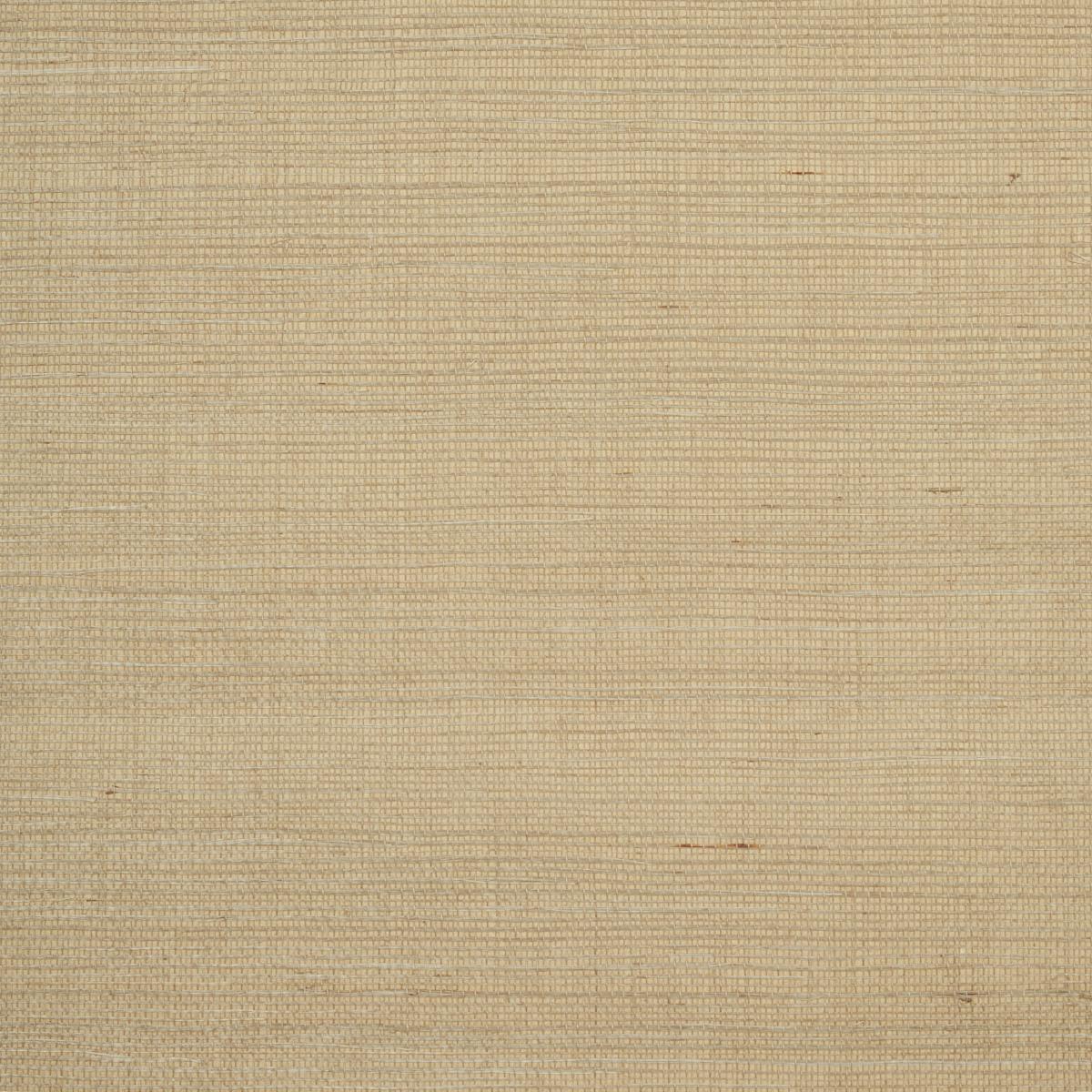haruki-sisal-5004702-1