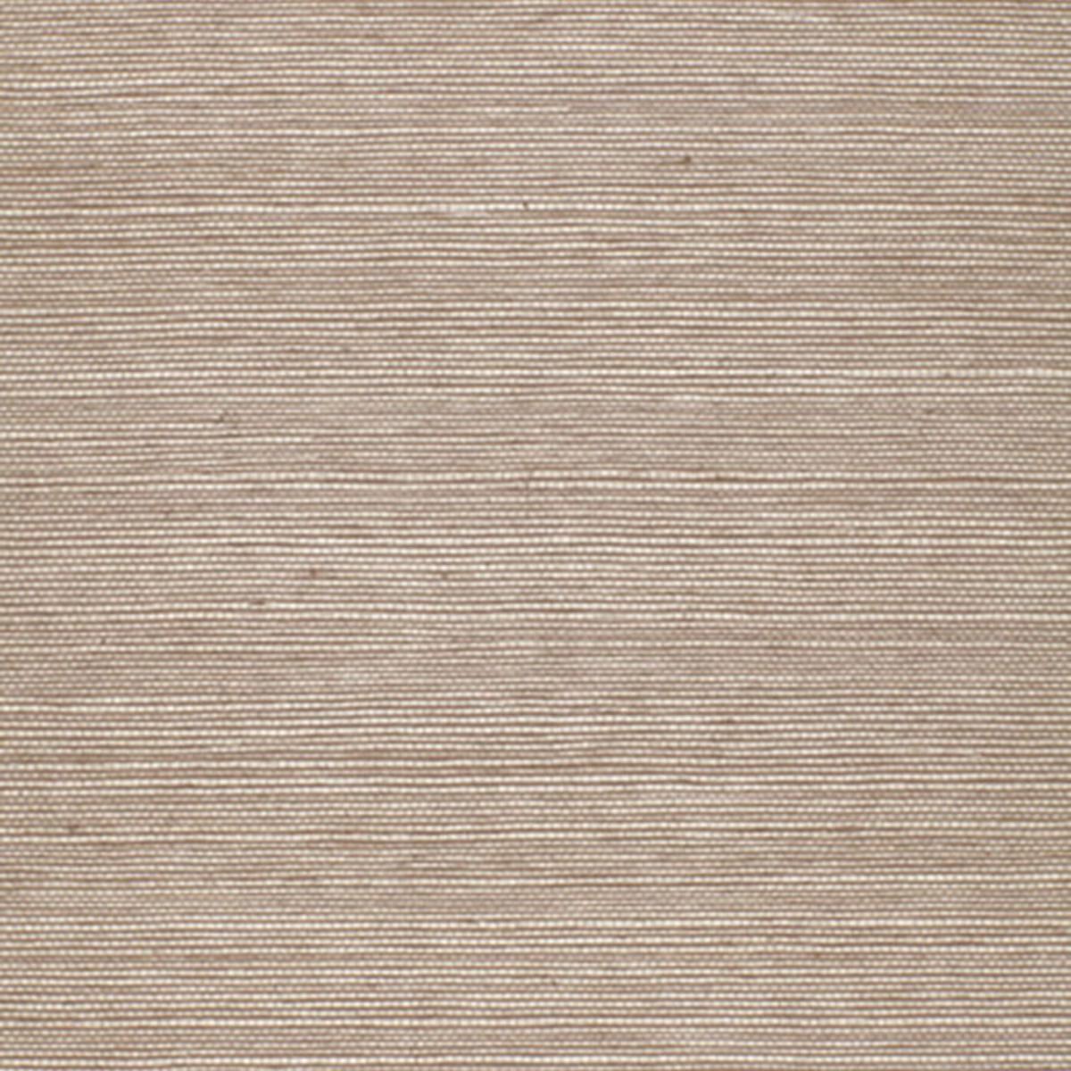 haruki-sisal-5004703