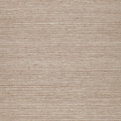 haruki-sisal-5004703