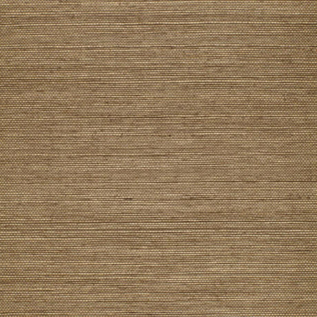 haruki-sisal-5004711