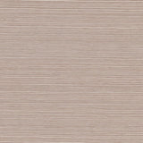 haruki-sisal-5004718