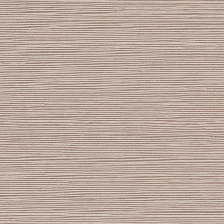 haruki-sisal-5004718