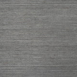 haruki-sisal-5004720-1
