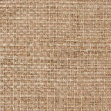 haruki-sisal-5004729-1
