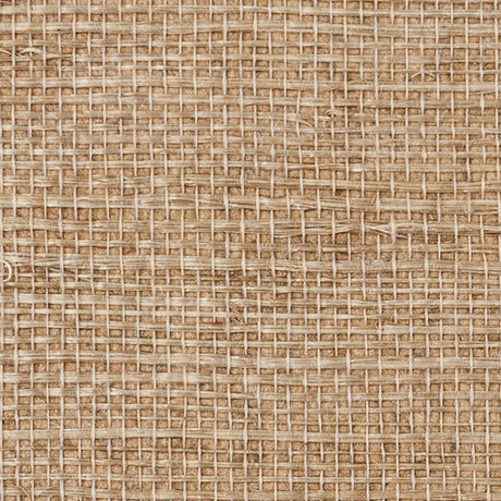 haruki-sisal-5004729-1