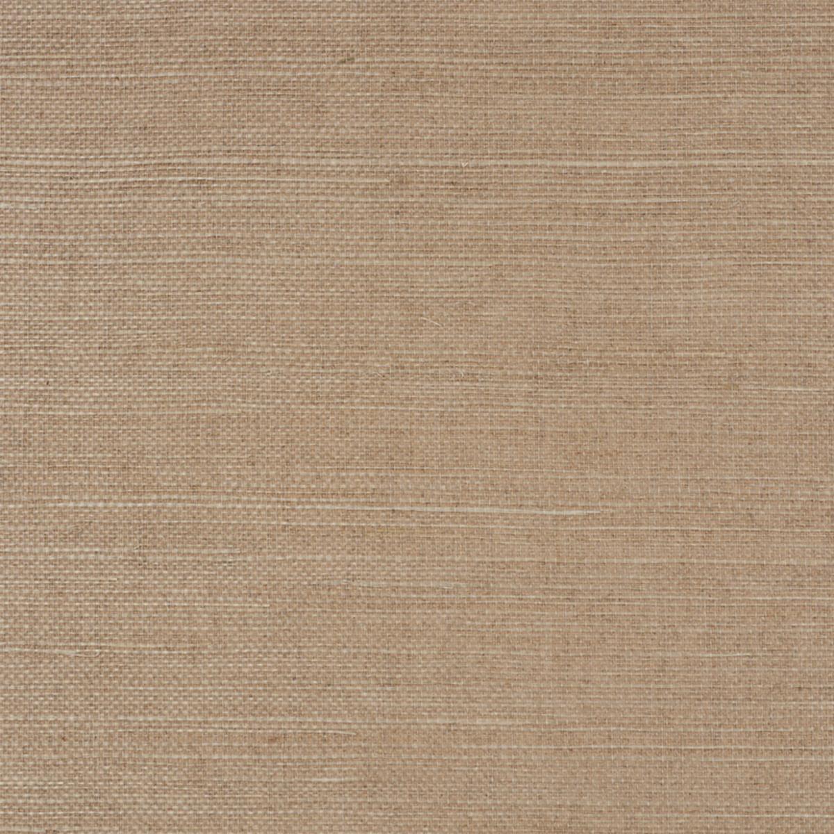 haruki-sisal-5004729