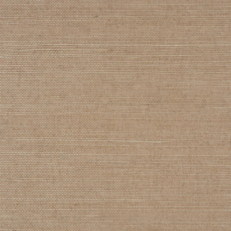 haruki-sisal-5004729