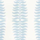 fern-tree-5005074-1