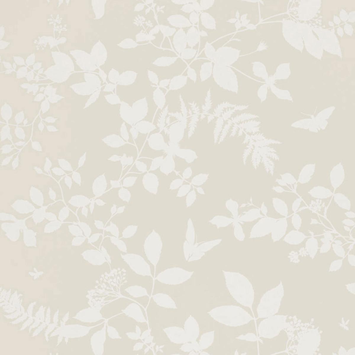 shadow-vine-5005100