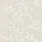 shadow-vine-5005100