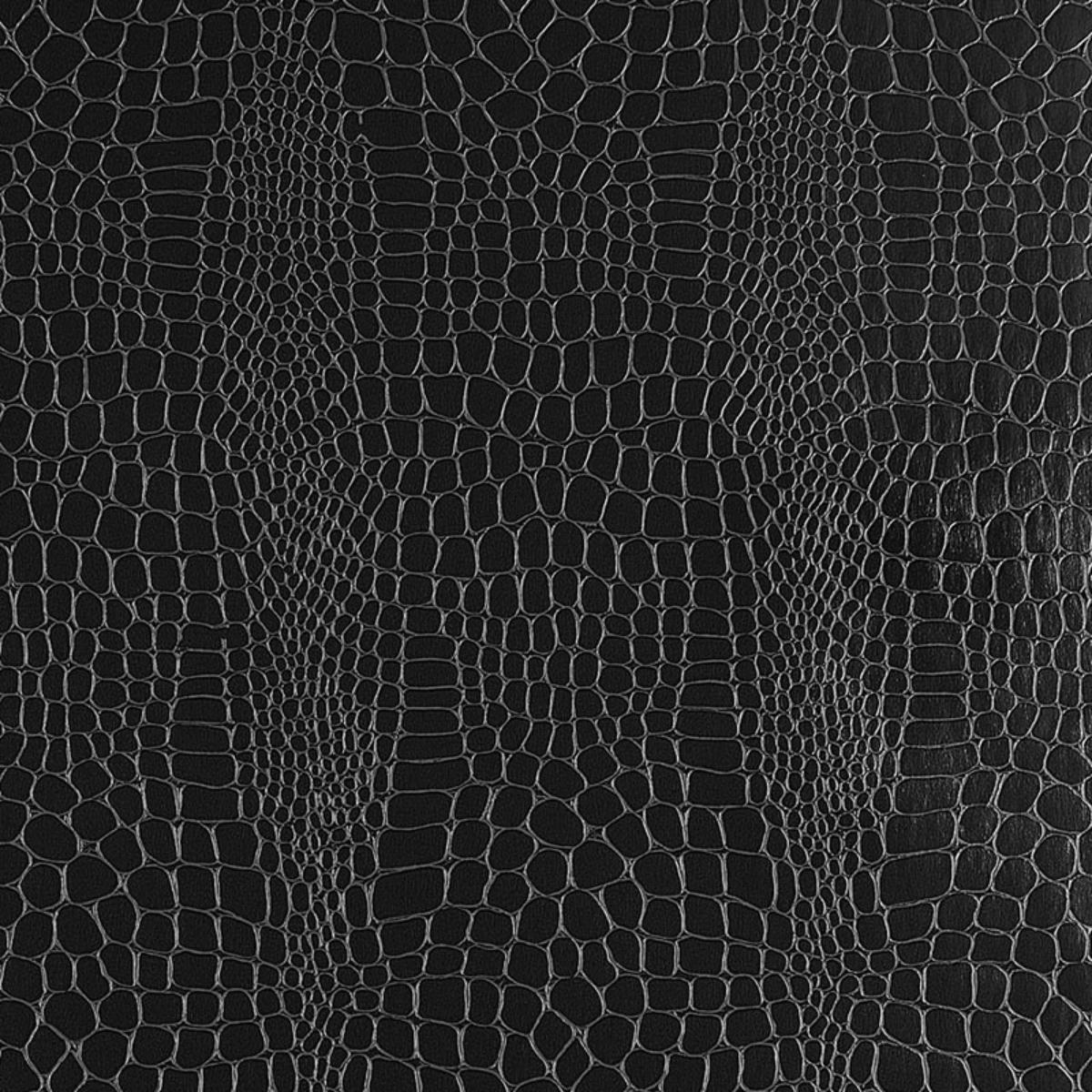 crocodile-5005834