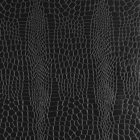 crocodile-5005834