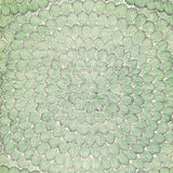 feather-bloom-sisal-5006072