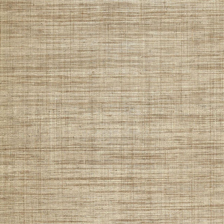 weston-raffia-weave-5006201
