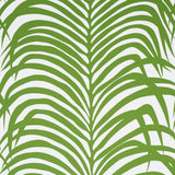 zebra-palm-5006931