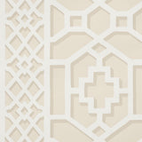 zanzibar-trellis-5006945-2