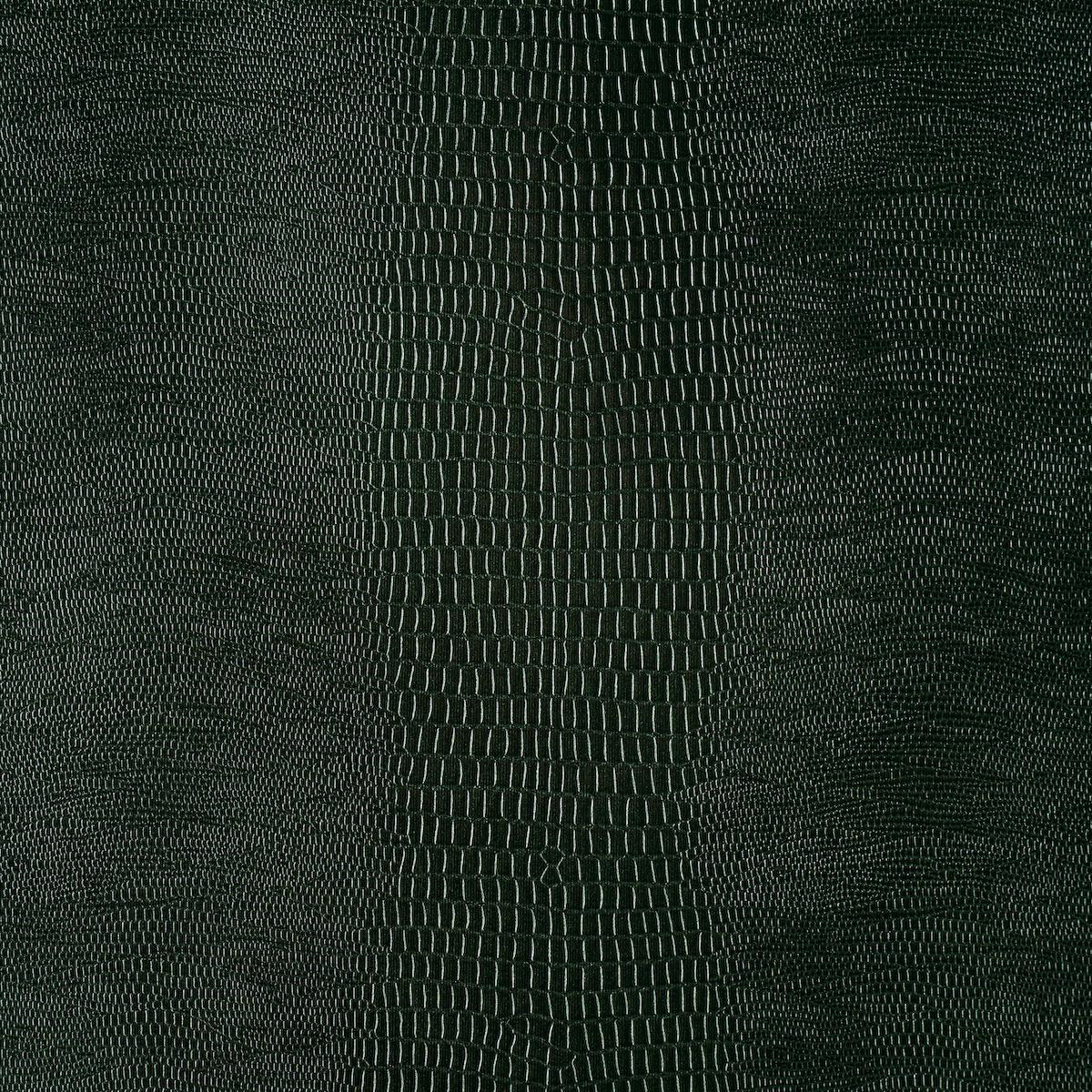 komodo-5007342-2