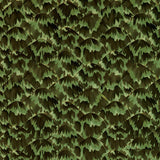 tortoise-5007451