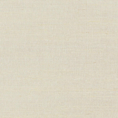 hemp-shimmer-5007870