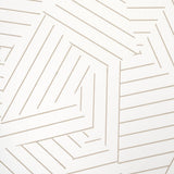 deconstructed-stripe-5007970-2