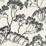 timber-!-5007980