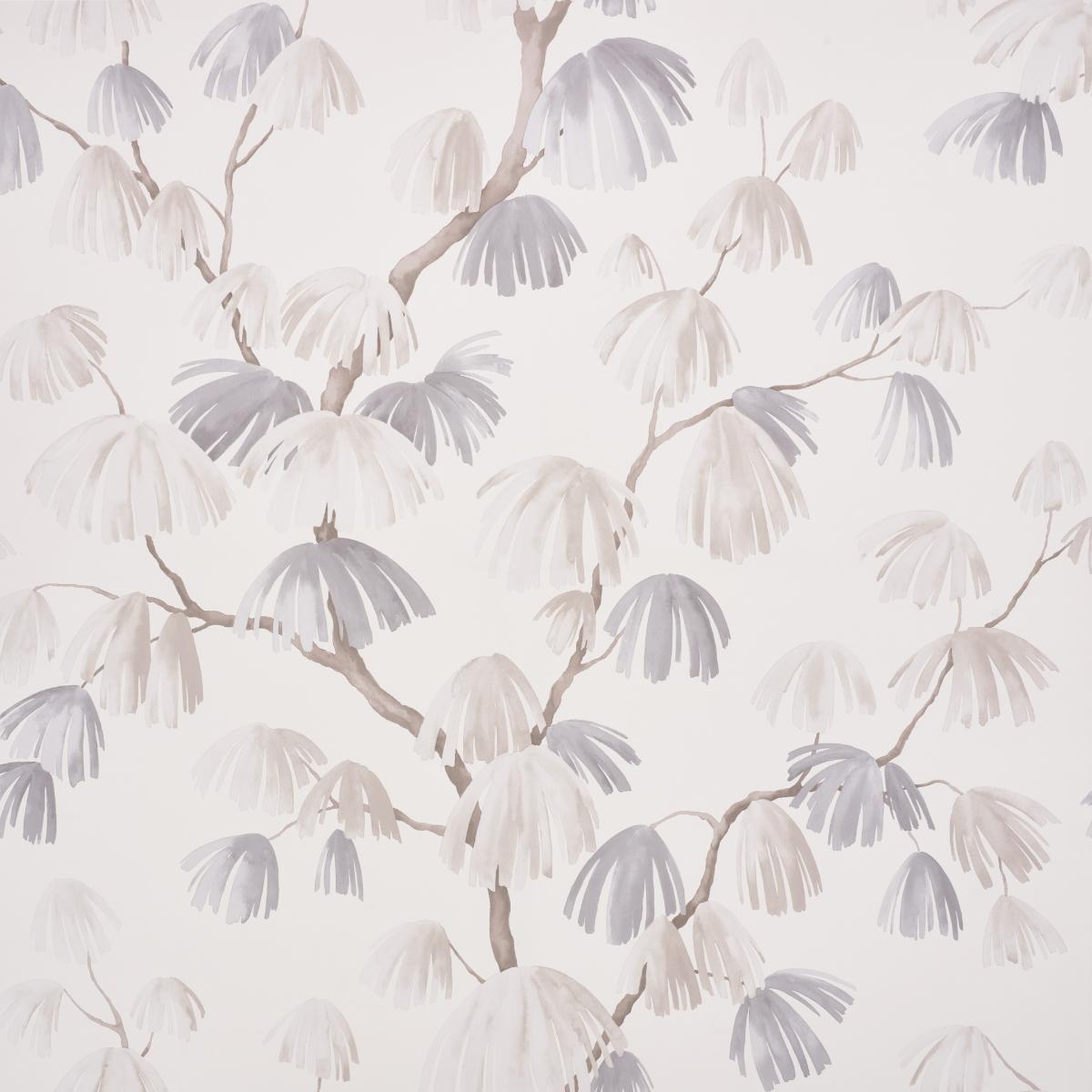 weeping-pine-5008330