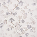 weeping-pine-5008330