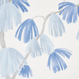 weeping-pine-5008331-2