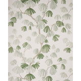weeping-pine-5008332-1