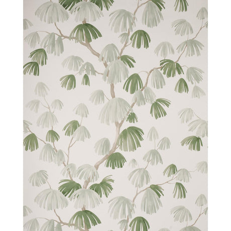 weeping-pine-5008332-1